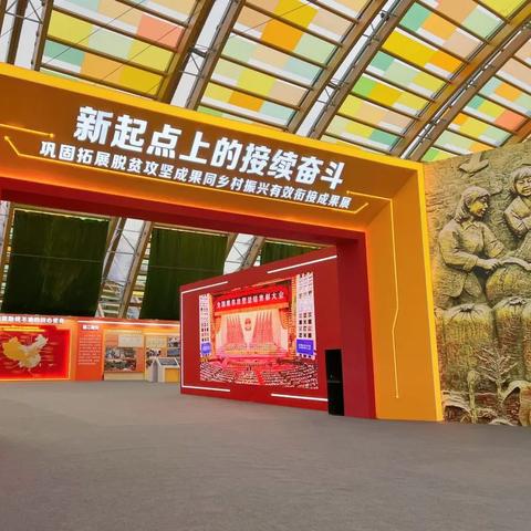 乡村振兴的路径选择，因地制宜，多措并举，共绘美好乡村画卷