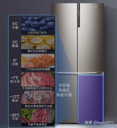 三千元预算，揭秘最适合你的冰箱品牌！