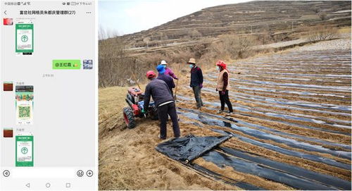 乡村疫情防控攻略，筑牢农村防线，共筑健康家园