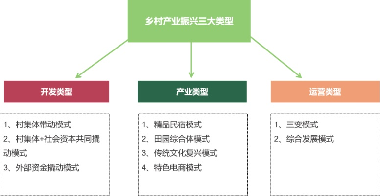 组织振兴助力乡村全面振兴，路径探索与实践案例