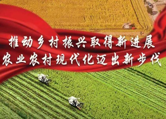 让乡村焕发新活力—有效推进乡村现代化建设的路径与实践