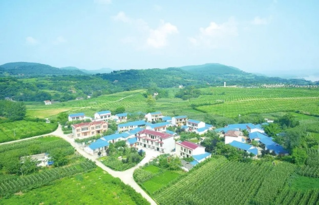 让乡村焕发新活力—有效推进乡村现代化建设的路径与实践