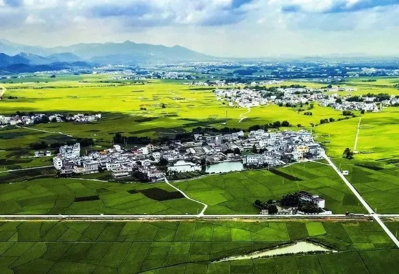 让乡村焕发新活力—有效推进乡村现代化建设的路径与实践