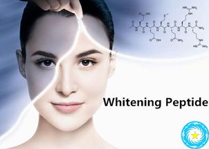 美白肌肤，一膜到位！盘点几款让人惊艳的面膜品牌