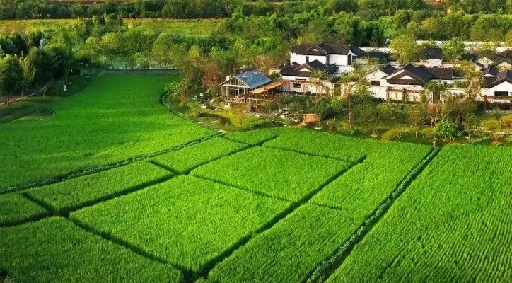 如何平衡乡村旅游业发展与耕地保护—探索解决方案