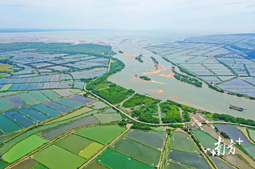 廉江乡村旅游资源现状探析，魅力乡村，活力无限