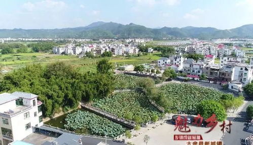廉江乡村旅游资源现状探析，魅力乡村，活力无限