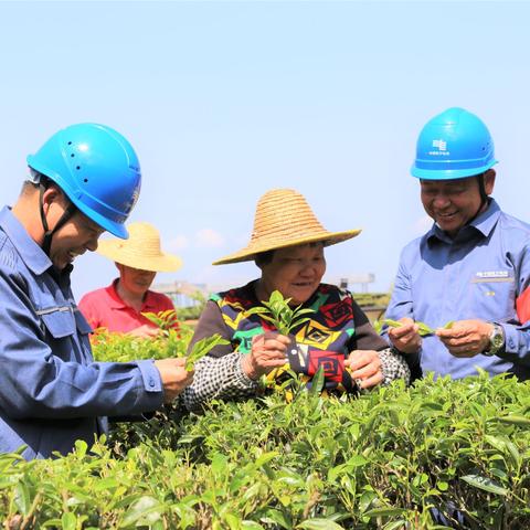 广东乡村振兴工作待遇大盘点，福利政策与实际案例分享