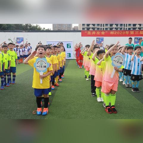 飞云直播全攻略，轻松上手，直播达人养成记