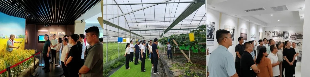 探索创新，打造乡村振兴新路径—实践与案例分享