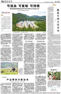 乡村振兴中的文化创新之路—探索与实践
