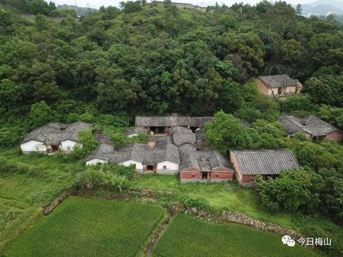 打造乡村旅游景点，从规划到成功的全攻略