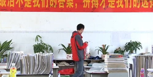 乡村小伙子现状，梦想与现实交织的青春篇章