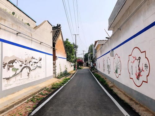 万州乡村振兴战略，多措并举，打造美丽乡村新画卷