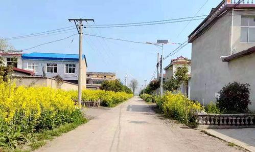 万州乡村振兴战略，多措并举，打造美丽乡村新画卷