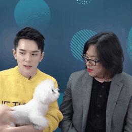 直播狗下载全攻略，轻松上手，开启你的直播之旅！
