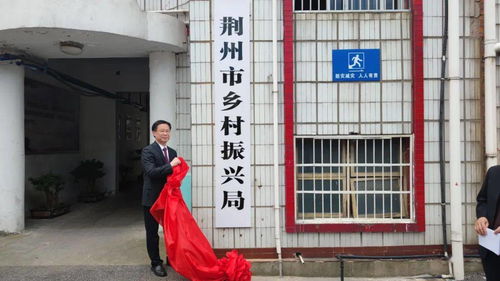 荆州区乡村振兴局待遇揭秘，工作环境与福利一览