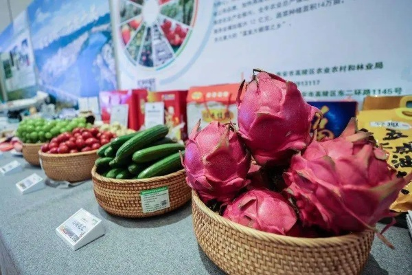 乡村特产，潜力无限的市场新宠儿