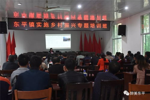 年轻干部在乡村振兴中的角色与担当—实践与思考