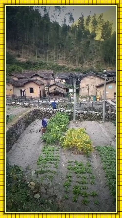 乡村自给自足生活指南，如何让田园生活更美好
