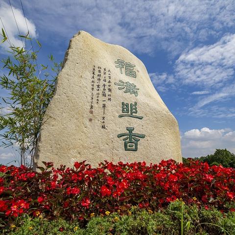 乡村振兴决策指南，如何打造美丽乡村新篇章
