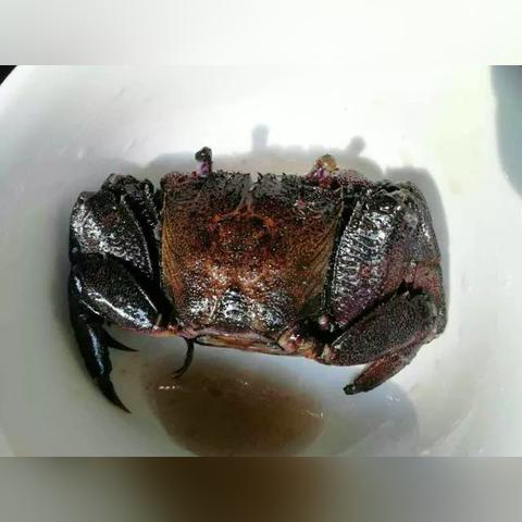 盘点那些让人欲罢不能的热卖进口小零食品牌，快来尝鲜！