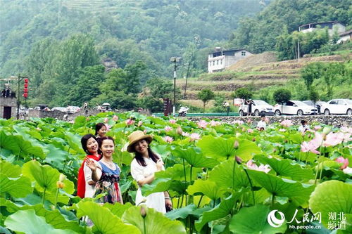 十堰市乡村旅游发展攻略，打造特色，吸引游客，共谋振兴