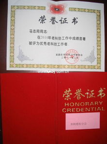 轻松考取乡村干部资格证，步骤详解与案例分享