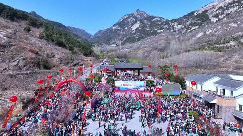 鹤峰县乡村旅游发展攻略，打造特色，吸引游客