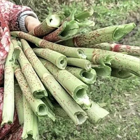 英国那些让人乖乖爱上的零食品牌大盘点