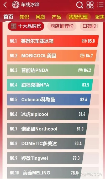 揭秘车载冰箱电源排行榜，谁是你的出行好伴侣？
