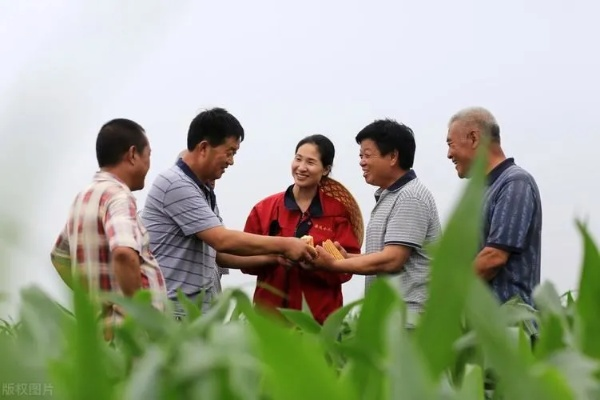 农村留不住人？看如何实现乡村振兴，让农村焕发新活力！