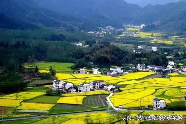 农村留不住人？看如何实现乡村振兴，让农村焕发新活力！
