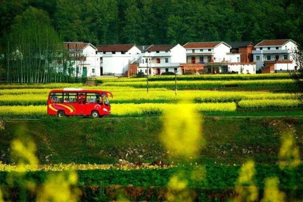 农村留不住人？看如何实现乡村振兴，让农村焕发新活力！