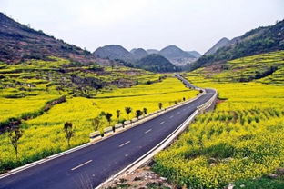 宜宾乡村公路规划，因地制宜，助力乡村振兴