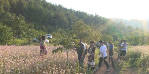 宜宾乡村公路规划，因地制宜，助力乡村振兴
