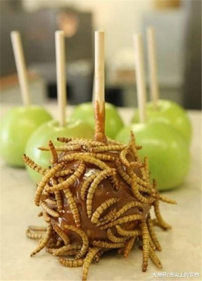虫子零食，你敢尝试吗？揭秘虫子零食品牌背后的故事