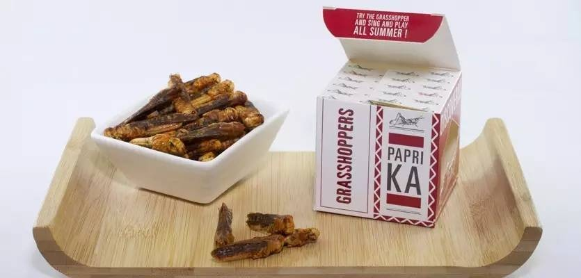 虫子零食，你敢尝试吗？揭秘虫子零食品牌背后的故事