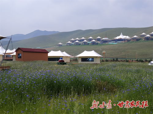 如何用衣服点亮乡村风光照片，打造别样风情