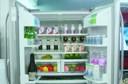揭秘大冷冻冰箱品牌排行榜，谁才是冷冻界的冰皇？