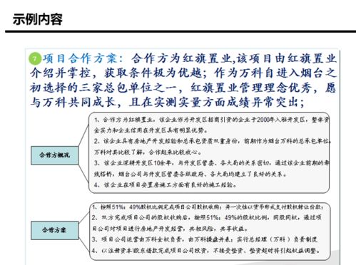 政府乡村生产道路审计，如何确保资金安全与项目质量