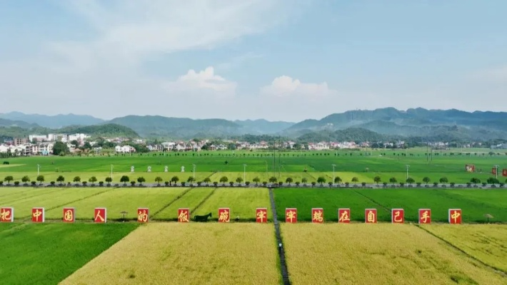 乡村振兴，这样做才能让乡村焕发新活力！