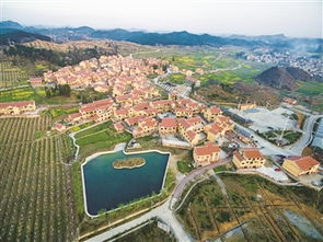 乡村振兴进行时，地方政府如何发力，打造美丽乡村新画卷
