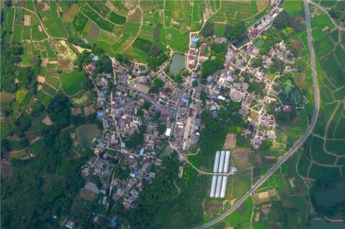 乡村振兴进行时，地方政府如何发力，打造美丽乡村新画卷