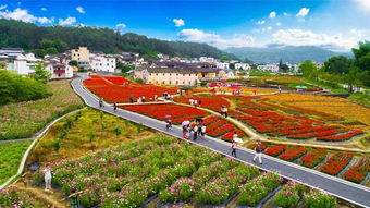 乡村振兴进行时，地方政府如何发力，打造美丽乡村新画卷
