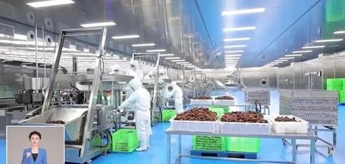 宜春零食工厂大盘点，这些本土品牌让你嘴不停歇！