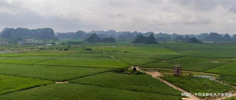 扶绥县乡村振兴之路，因地制宜，多措并举，共绘美丽乡村画卷