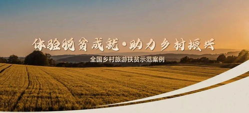 如何激发乡村干部活力，助力乡村振兴—实用策略与案例分析