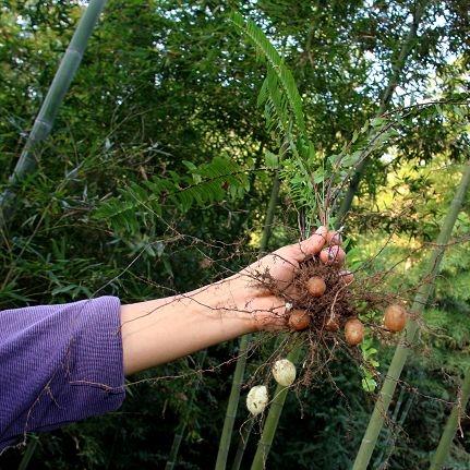 盘点那些藏钱神器—适合装钱的零食品牌大揭秘！