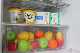 揭秘四大冰箱品牌，选购攻略大揭秘！